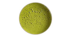 Matcha vrac Thé Vert Nature infusion