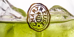 Chartreuse